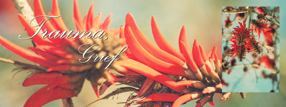 084 369 9113 :: lara@registeredcounsellor.co.za